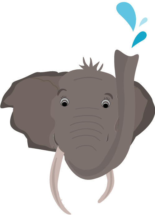 elefantenkopf-splash